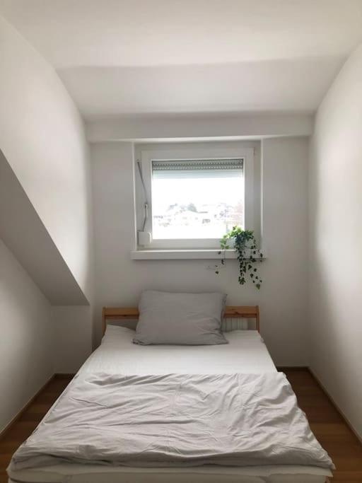 Casa More Niederalm Dış mekan fotoğraf